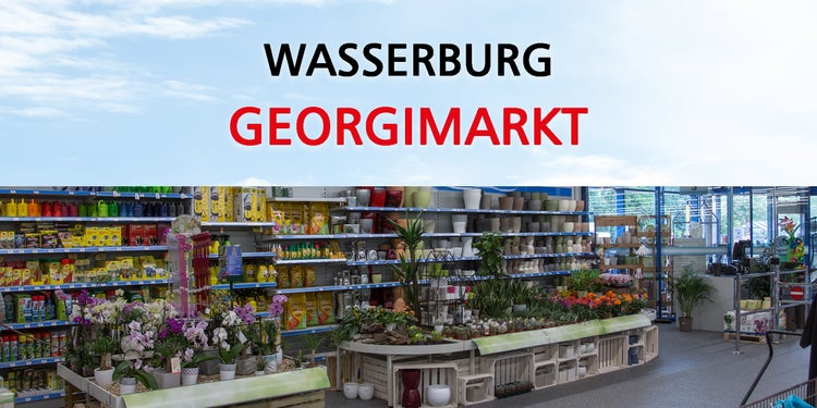 Foto aus dem EDER Profi-Baumarkt in Wasserburg mit Blumentöpfen und Frühlingsdeko und Blumen