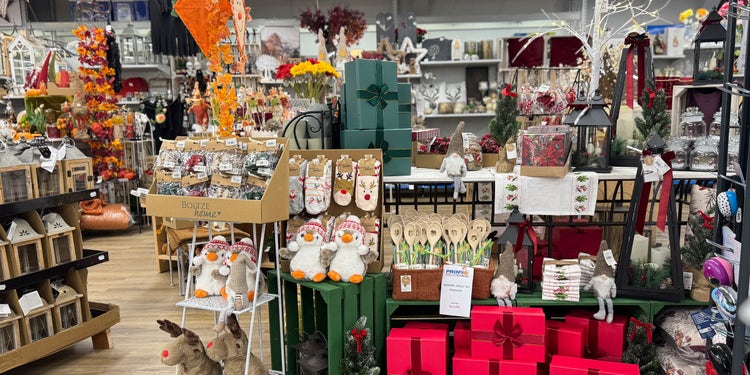 Herbstdeko im EDER Profi-Baumarkt