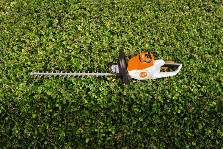 Stihl Akku Heckenschere HSA 60 liegt auf Hecke