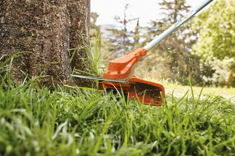 Detailansicht STIHL FSA 60 Akku-Freischneider beim Trimmen um einen dicken Baumstamm
