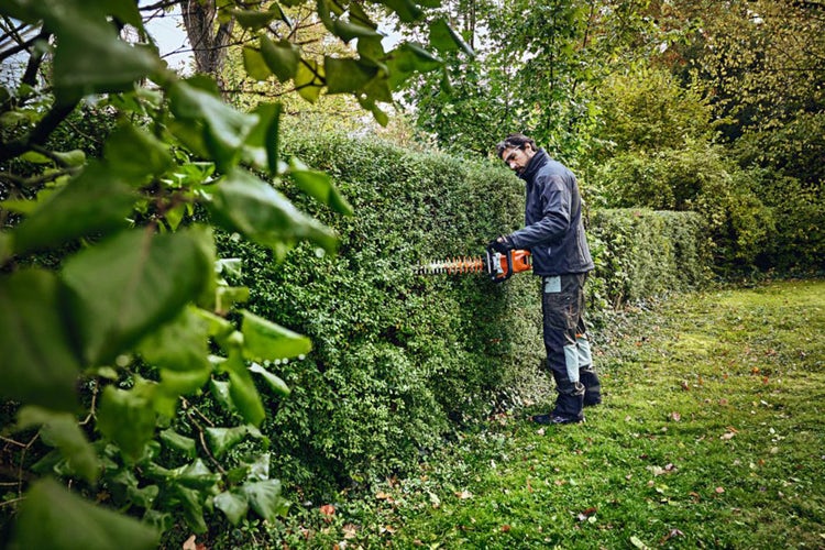 Präziser Heckenschnitt eines Mannes mit Stihl HSA 100 Heckenschere