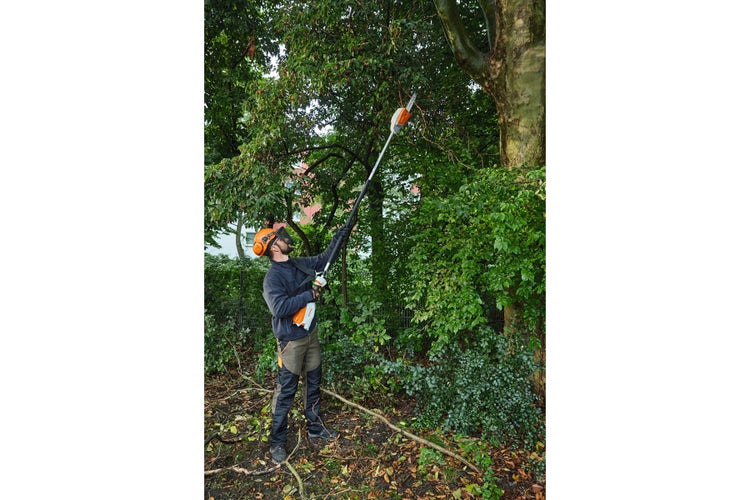 Mann schneidet Ast in hoher Höhe mit STIHL HTA 66 Hochentaster