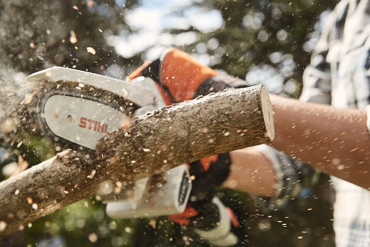 STIHL GTA 26 wird eingesetzt um einen dicken Ast durchzutrennen