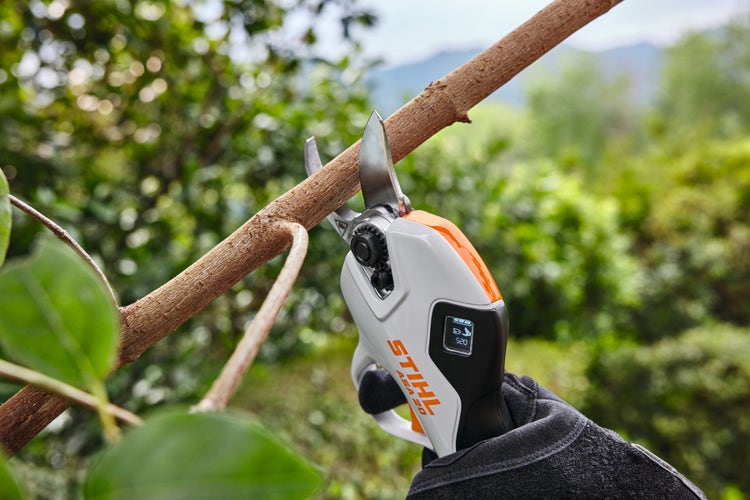 Nahaufnahme beim Abschneiden eines Astes mit der STIHL ASA 20