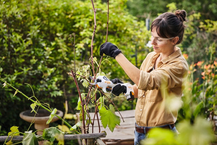 Eine Frau schneidet einen Strauch mit der STIHL ASA 20