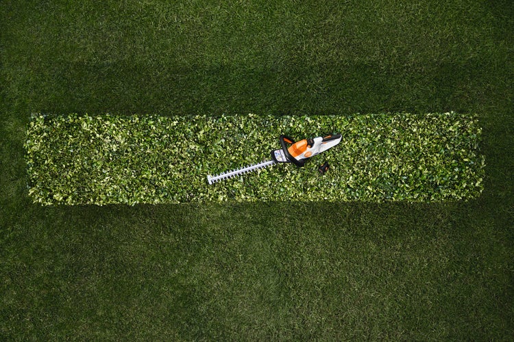 Die STIHL HSA 40 auf einer gut geschnittenen Hecke