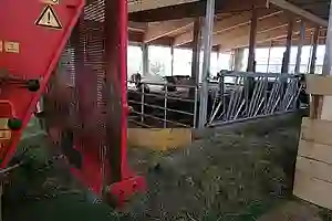 Automatische Fütterung - Neubau Beispiel 2