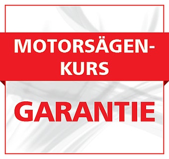 Grafik Motorsägenkurs